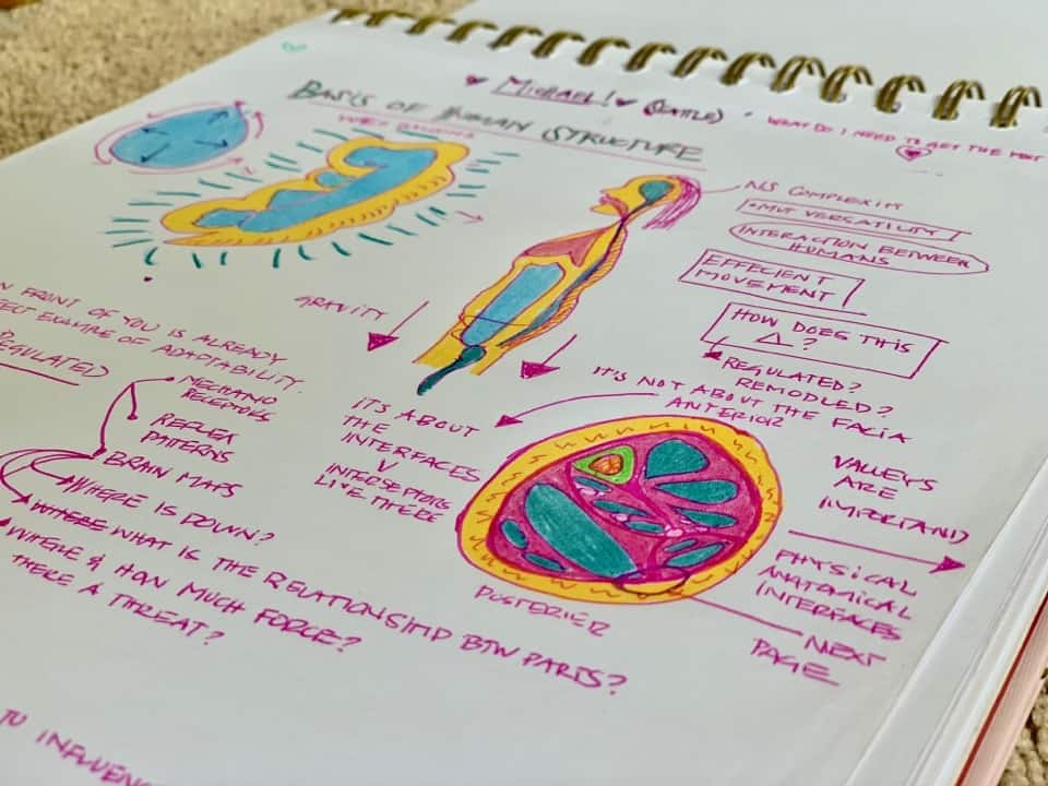 anatomy notes